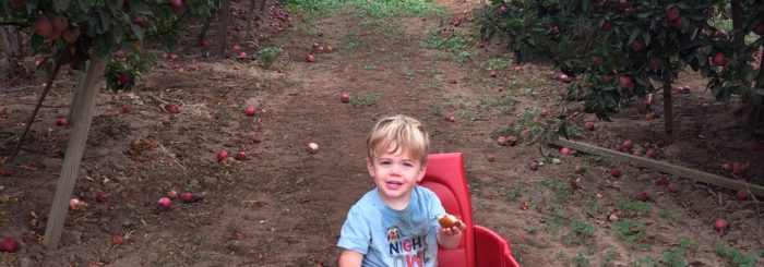 Apple Season Recipes