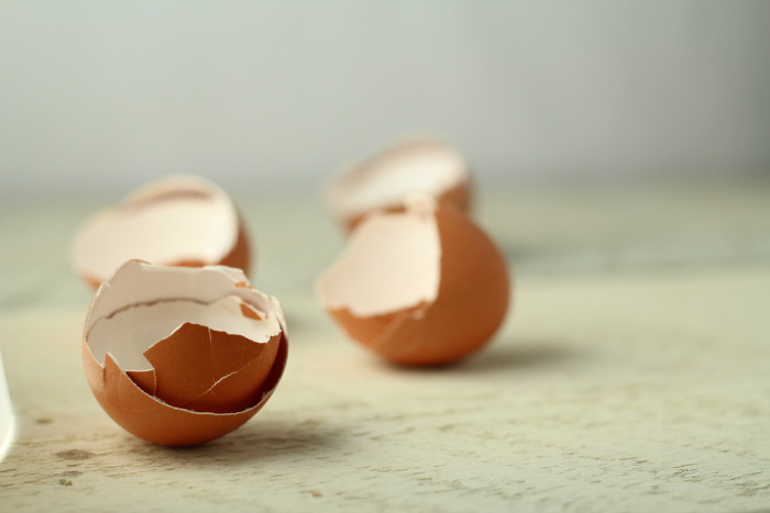 Broken Eggshells